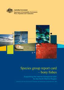 Species group report card - bony fishes - supporting the marine bioregional plan for the North Marine Region