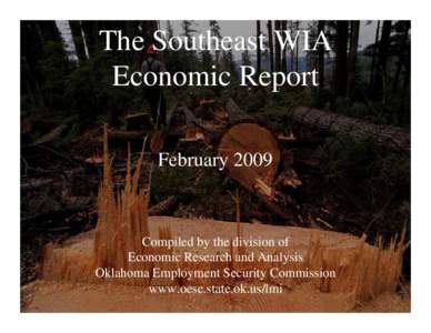The Southeast WIA Economic Report February 2009 Compiled by the division of Economic Research and Analysis