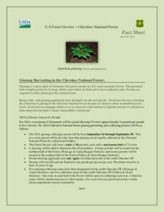 U.S Forest Service – Cherokee National Forest  Fact Sheet June 17, 2014  American ginseng (Panax quinquefolius)