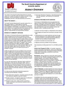 The South Carolina Department of Juvenile Justice AGENCY OVERVIEW The mission of the South Carolina Department of Juvenile Justice is to “protect the public and reclaim juveniles through