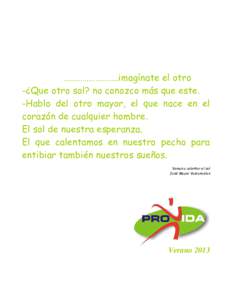 Microsoft Word - informe Provida Verano 2013.docx