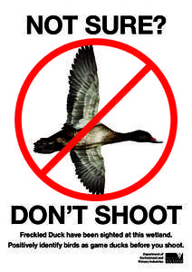 NOT SURE?  DON’T SHOOT Freckled Duck have been sighted at this wetland. Positively identify birds as game ducks before you shoot.