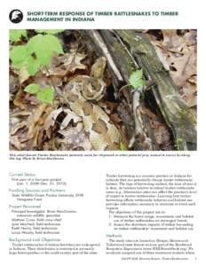 09WildlifeDiversityReportResearchRattlesnake.indd