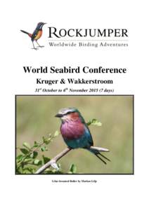 World Seabird Conference Kruger & Wakkerstroom 31st October to 6th November[removed]days) Lilac-breasted Roller by Markus Lilje