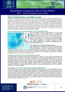 AÑO VIII - N° Seguimiento semanal de cultivos Zona Núcleo GEA – Guía Estratégica para el Agro Semana al 7 de enero de 2016