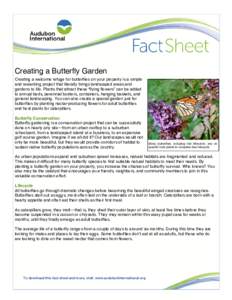Creating a Butterfly Garden Creating a welcome refuge for butterflies on your property is a simple and rewarding project that literally brings landscaped areas and gardens to life. Plants that attract these “flying flo