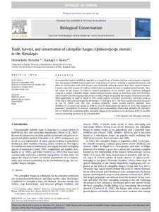 Mycology / Cordyceps / Ophiocordyceps / Biology / Caterpillar Inc. / Thitarodes / Shrestha / Harvester / Dolpa District / Hypocreales / Ophiocordyceps sinensis / Traditional Chinese medicine