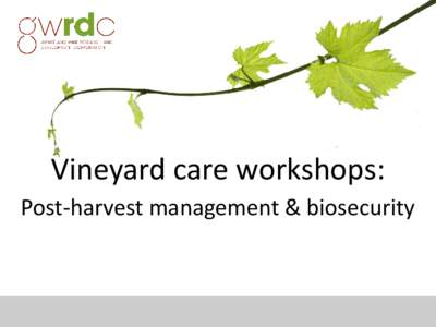 Vineyard care workshops: Post-harvest management & biosecurity Grapevine Carbohydrates and Nutrition 101 Jason Smith and Bruno Holzapfel