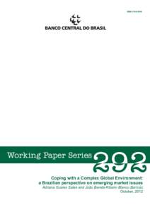 Coping with a Complex Global Environment: a Brazilian perspective on emerging market issues