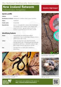 Taxonomy / New Zealand flatworm / Earthworm / Flatworm / Worm / Egg / Zoology / Geoplanidae / Biology