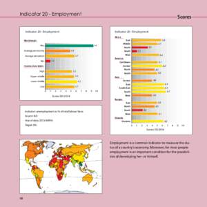 Indicator 20 - Employment  Scores Indicator 20 - Employment