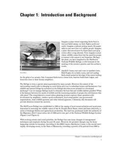 Chapter 1: Introduction and Background  Imagine a place where migrating birds flock to rest and build energy on their flights north and south. Imagine a natural setting nearly 50 square miles in size next door to 3 milli