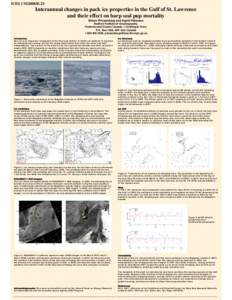 ICES CM2008/B:23  Interannual changes in pack ice properties in the Gulf of St. Lawrence and their effect on harp seal pup mortality Simon Prinsenberg and Ingrid Peterson Bedford Institute of Oceanography,
