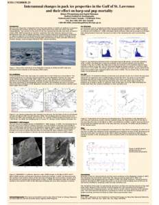 Physical geography / Water / Sea ice / Aquatic ecology / Polar ice packs / Harp seal / Magdalen Islands / Hooded seal / Pinniped / Glaciology / True seals / Earth