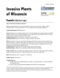 v. August 24, 2010  Invasive Plants of Wisconsin Teasels (Dipsacus spp.) Authors: Brendon Panke, Ryan deRegnier and Mark Renz1