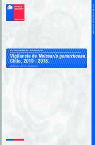 Ministerio de Salud  BOLETÍN DE LABORATORIO Y VIGILANCIA AL DÍA Vigilancia de Neisseria gonorrhoeae. Chile, .