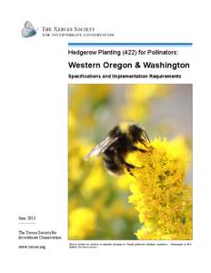 Hedgerow Plantingfor Pollinators:  Western Oregon & Washington Specifications and Implementation Requirements  June 2013