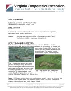 Beet Webworm Fact Sheet-Kuhar.docx