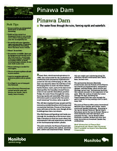 Pinawa Dam Pinawa Dam Provincial Park Park Tips • Be sure matches are extinguished. Break them in half before
