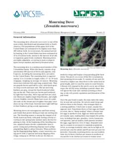 Mourning Dove (Zenaida macroura) February 2006 Fish and Wildlife Habitat Management Leaflet