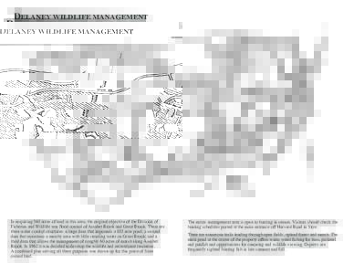 DELANEY WILDLIFE MANAGEMENT  In acquiring 560 acres of land in this area, the original objective of the Division of Fisheries and Wildlife was flood control of Assabet Brook and Great Brook. There are three water control