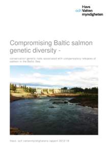 Compromising Baltic salmon genetic diversity conservation genetic risks associated with compensatory releases of salmon in the Baltic Sea Havs- och vattenmyndighetens rapport 2012:18