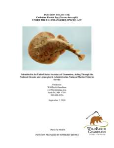 WildEarth Guardians Petition to NMFS for Caribbean Electric Ray (Narcine bancroftii) ESA Listing (2010)