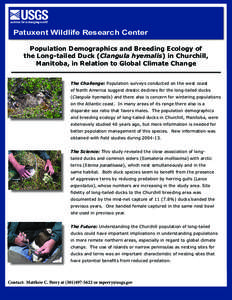 Patuxent Wildlife Research Center Population Demographics and Breeding Ecology of the Long-tailed Duck (Clangula hyemalis) in Churchill, Manitoba, in Relation to Global Climate Change The Challenge: Population surveys co