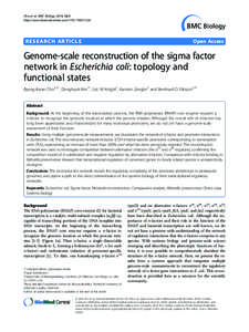 Sigma factor / RNA polymerase / Promoter / Transcription / TATA box / Regulation of gene expression / Operon / Non-coding RNA / Sigma 38 / Biology / Gene expression / Biochemistry