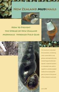 New Zealand Mudsnails  How to Prevent the Spread of New Zealand Mudsnails through Field Gear