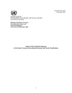 Report of the Technical Subgroup to the Expert Group on International Economic and Social Classifications