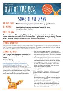 SONGS OF THE SONAR Art Form focus:	 Key Message: Multimedia sensory experience, sound art and up-cycled creations