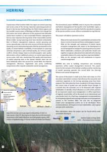 HERRING Sustainable management of the natural resource HERRING Coastal areas of the Southern Baltic Sea region are central spawning and nursery areas of the herring. Important spawning grounds are found in the German Gre