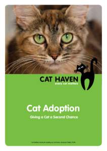 Cat Adoption Giving a Cat a Second Chance Cat Welfare Society Inc trading as Cat Haven. Licensed Charity 17686  Contents