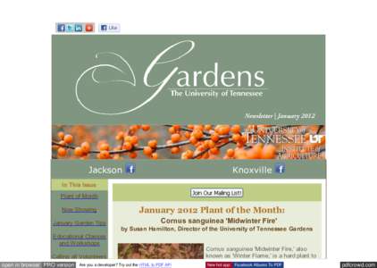 Jackson  Knoxville In This Issue Plant of Month