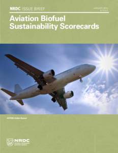 ISSUE BRIEF  JANUARY 2015 Aviation Biofuel Sustainability Scorecards