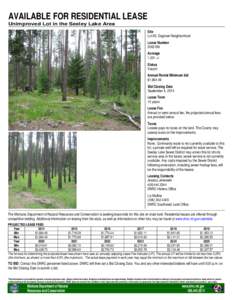 AVAILABLE FOR RESIDENTIAL LEASE Unimproved Lot in the Seeley Lake Area Site Lot 65, Dogtown Neighborhood Lease Number