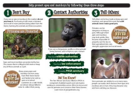 Help protect apes and monkeys by following these three steps:  1 Don’t Buy