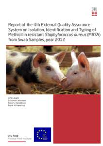 Report of the 4th External Quality Assurance System on Isolation, Identification and Typing of Methicillin resistant Staphylococcus aureus (MRSA) from Swab Samples, year[removed]Lina Cavaco