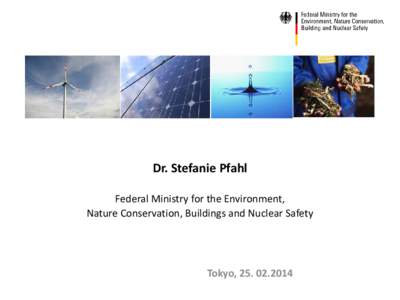 Dr. Stefanie Pfahl Federal Ministry for the Environment, Nature Conservation, Buildings and Nuclear Safety Tokyo, 