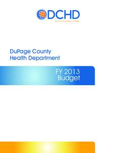 Everyone, Everywhere, Everyday  DuPage County Health Department  FY 2013