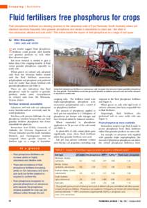 Cropping  Nutrients Fluid fertilisers free phosphorus for crops Fluid phosphorus fertilisers are showing promise on the calcareous soils of Eyre Peninsula, South Australia, where soil