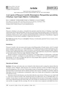 A new species of Platygaster Latreille (Hymenoptera: Platygastridae) parasitizing Chilophaga virgati Gagné (Diptera: Cecidomyiidae)