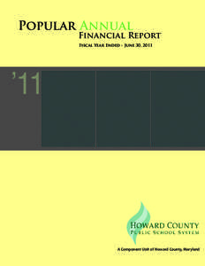 Popular Annual Financial Report[removed]