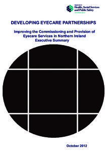 Microsoft Word - Executive Summary - Developing Eyecare Partnerships