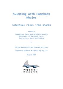Swimming with Humpback Whales - Potential risks from sharks