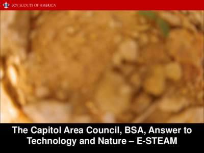 The Capitol Area Council, BSA, Answer to Technology and Nature – E-STEAM Jessica R Snider, R. Denison, C. Mead, JKP Myers, S. Baggstrom, C. Stabeno, J. C. Yates 7 April, Bastrop, TX
