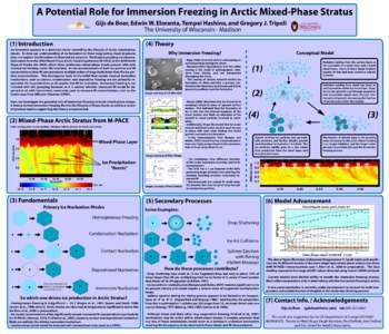 A Potential Role for Immersion Freezing in Arctic Mixed-Phase Stratus Gijs de Boer, Edwin W. Eloranta, Tempei Hashino, and Gregory J. Tripoli The University of Wisconsin - Madison (1) Introduction  (4) Theory