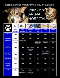 Recommended Heartworm & Flea Prevention  Vale Park ANIMAL HOSPITAL