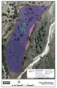 *Oak Tree(s) SlurryArea Matilija Vegetation  Mulefat Scrub